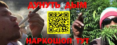 МДПВ Новозыбков