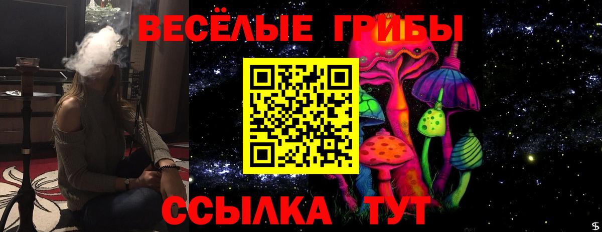 Псилоцибиновые грибы MAGIC MUSHROOMS Чебоксары